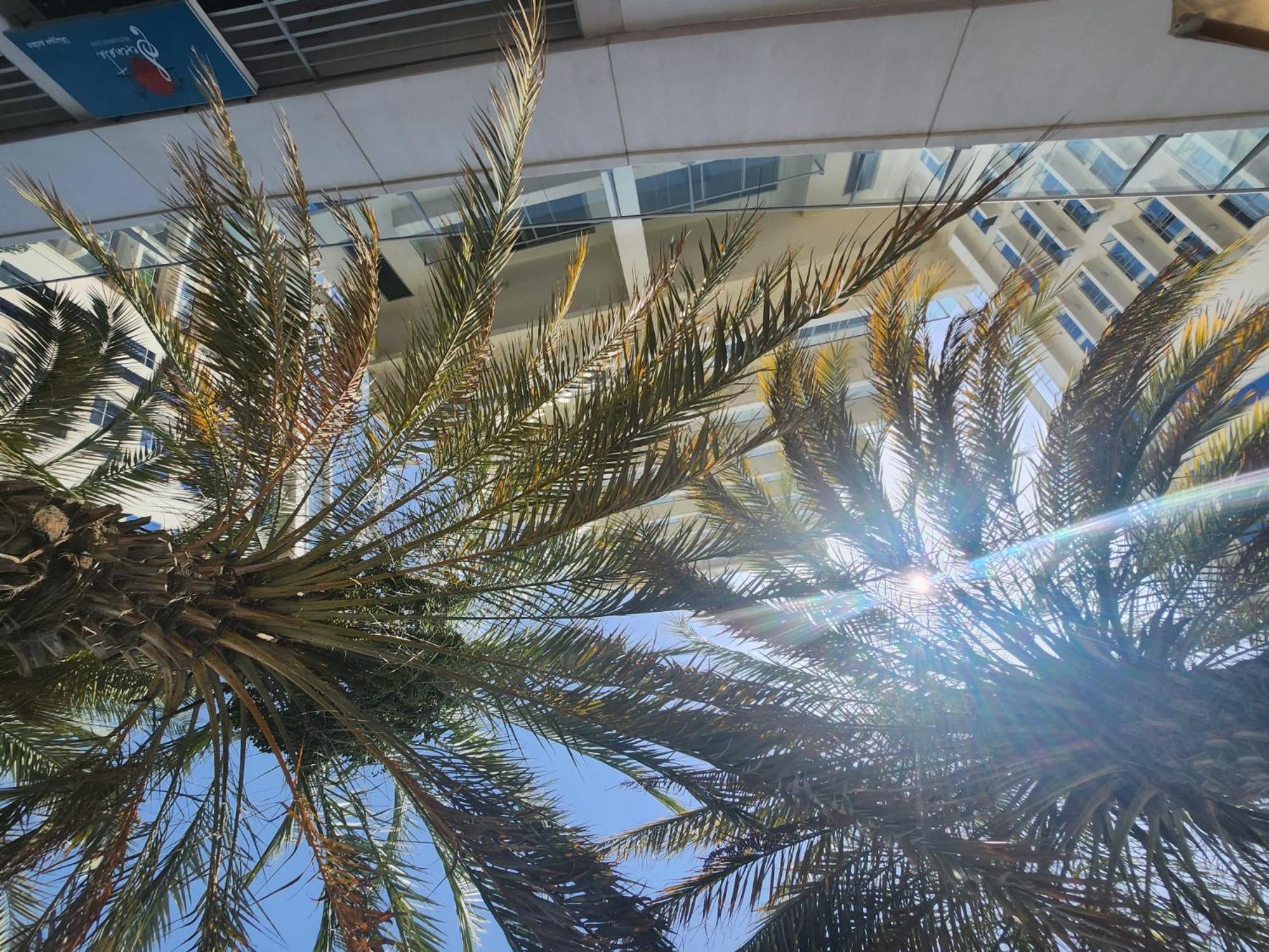 Marjan Island Beautiful Apartment Sea Side View Beach Luxury Rooms Ras Al Khaimah Uae Extérieur photo